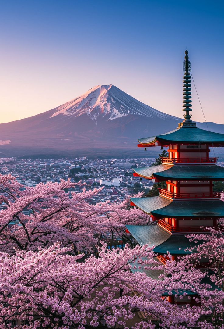 5D4N Tokyo – Mt. Fuji – Yokohama Winter Experience