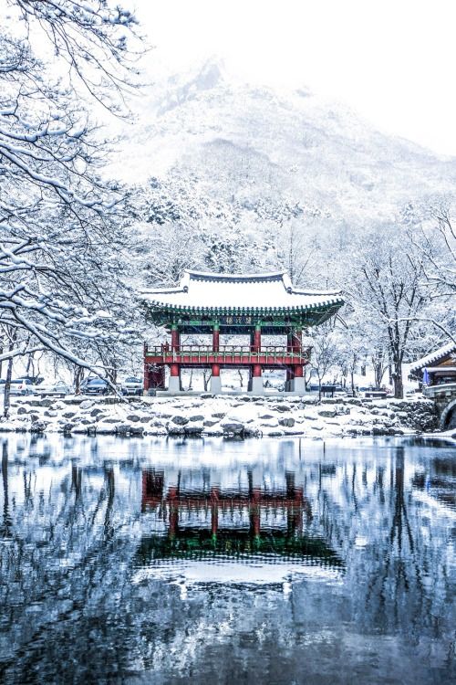 5D4N Korea Winter Experience